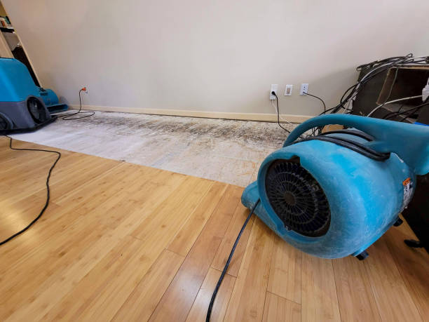 Professional Basement Flood Cleanup technician working in Rock Creek, WV